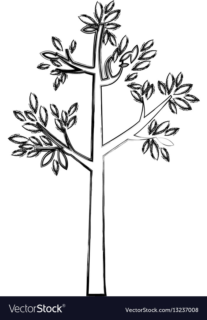 Contour tree icon image stock