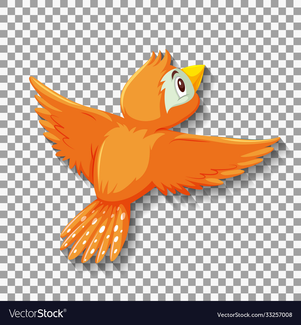 Cute orange bird cartoon character Royalty Free Vector Image