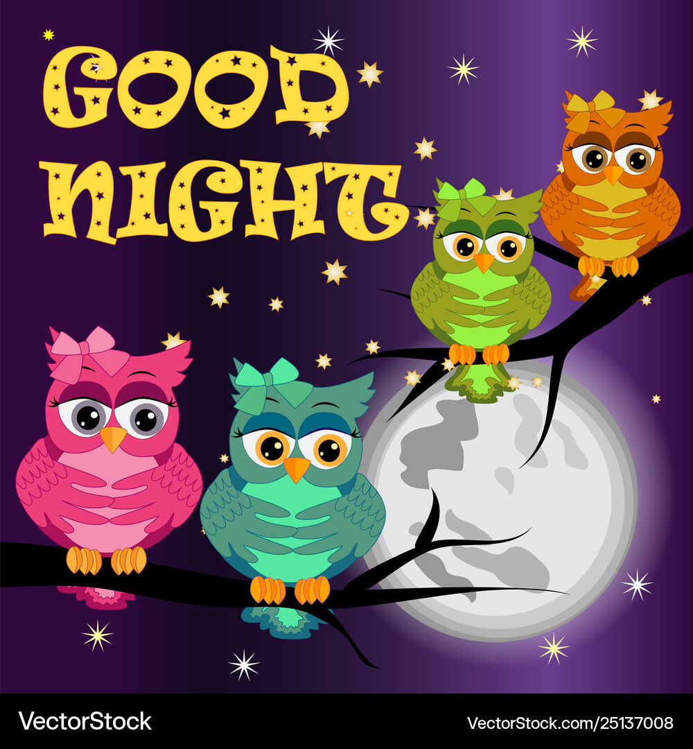 Good night card with a sleeping owls and a clouds Vector Image