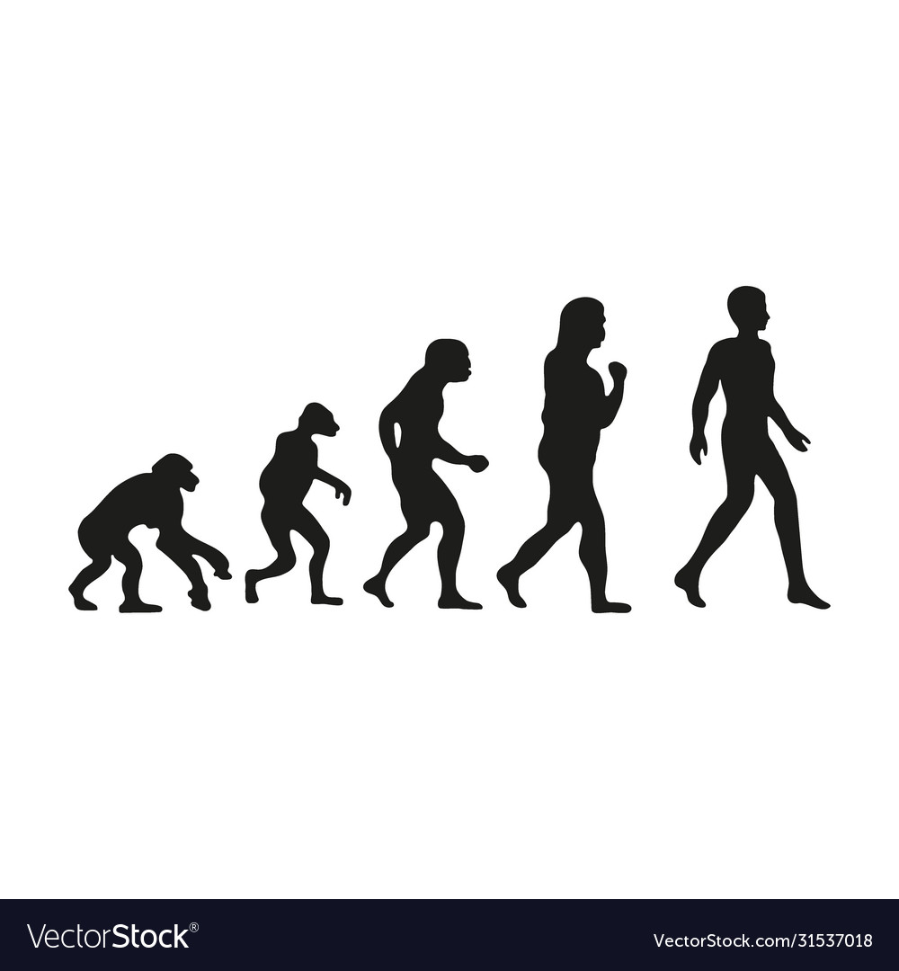 Man evolution silhouette progress growth Vector Image