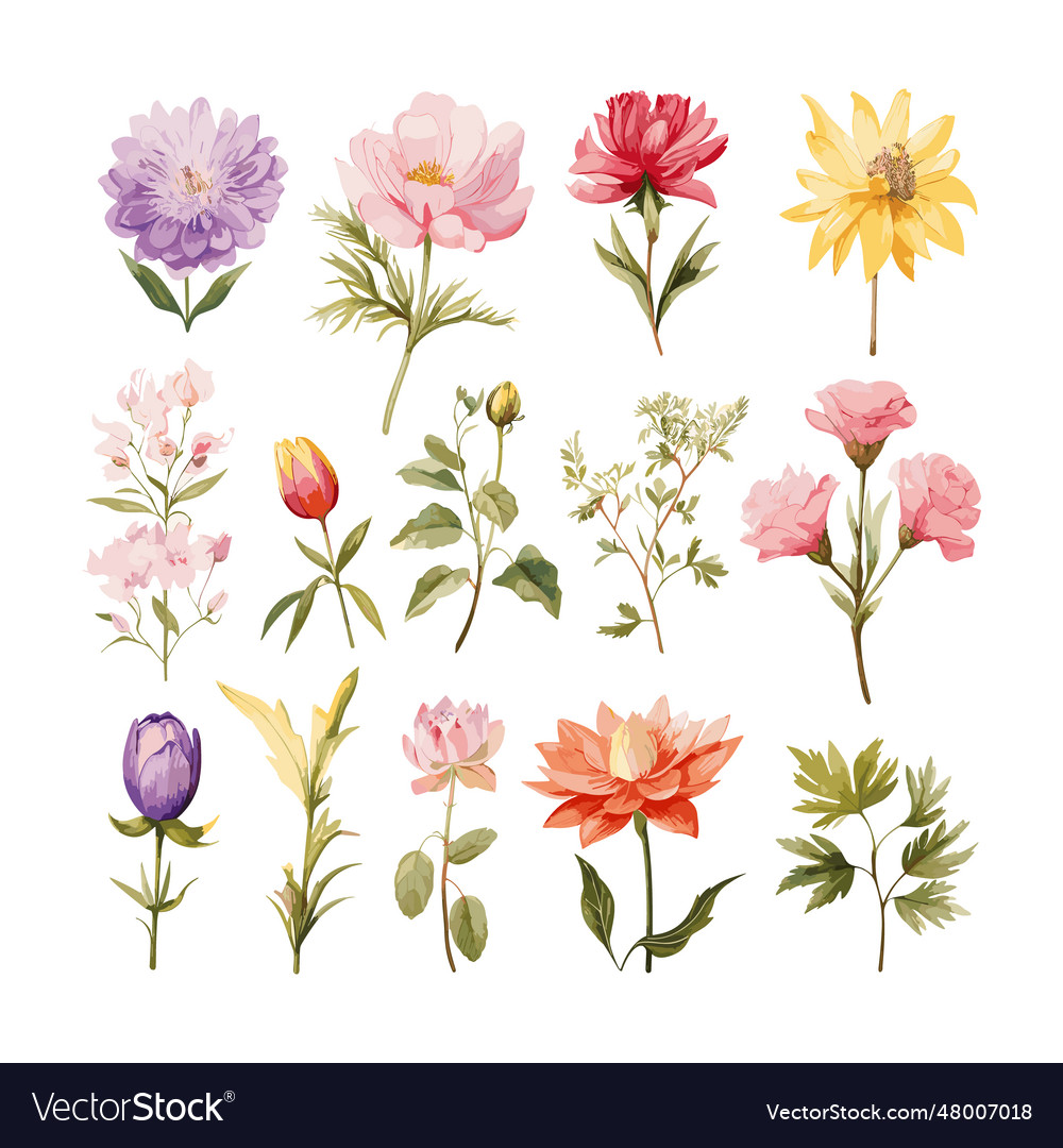 Aquarell Floral Set - Botanische Kunst
