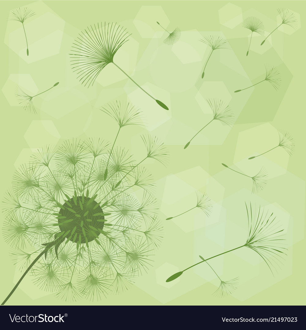 Abstract background of a dandelion for design vector image Abstract background of a dandelion for design