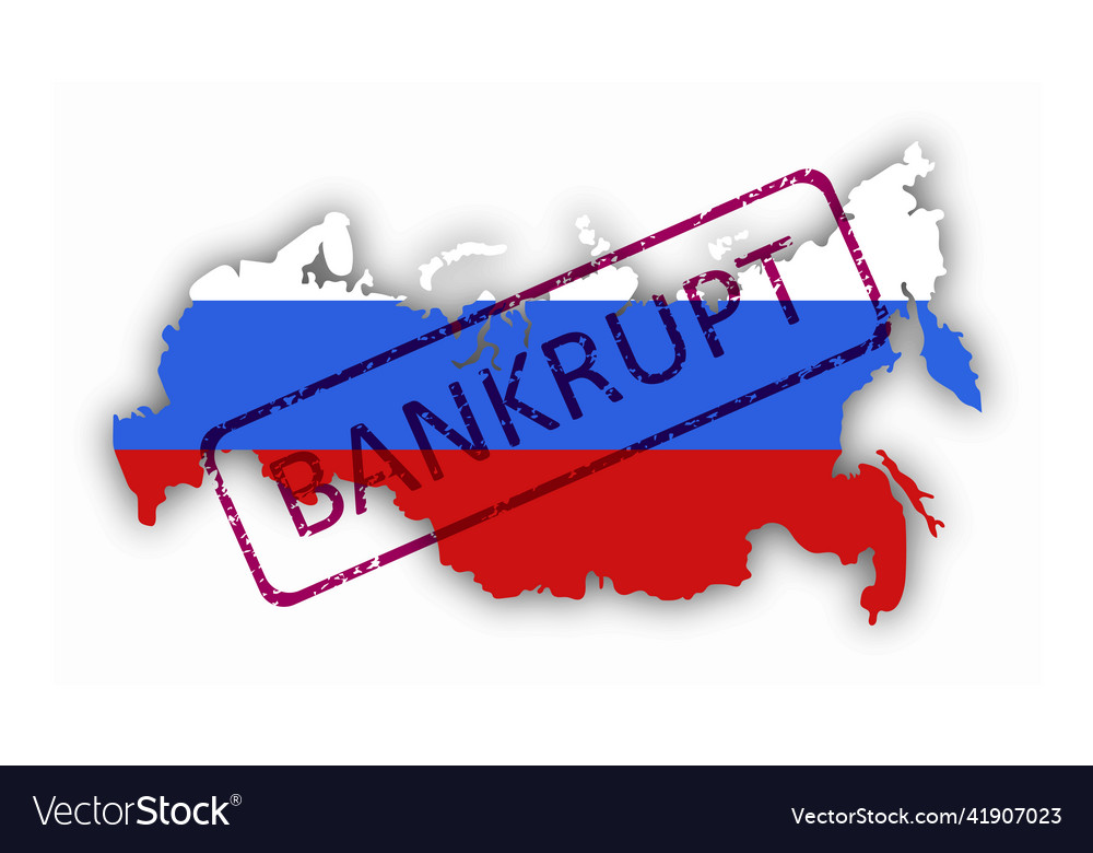 Contour conditional map of russia in the colors vector image Contour conditional map of russia in the colors