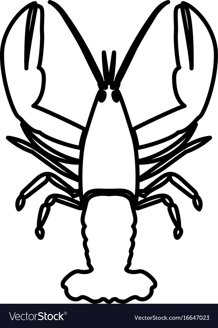 Craw fish black color icon