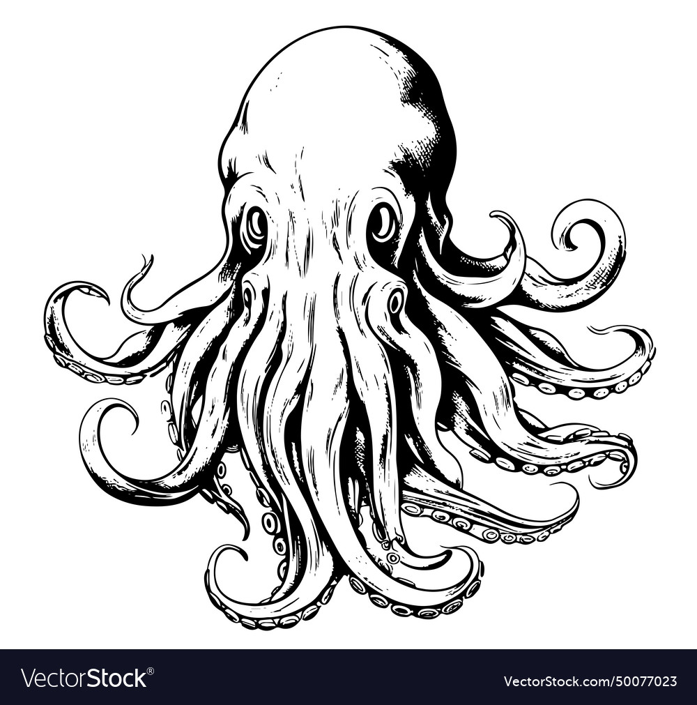 Sea octopus engraved hand drawn in old sketch Vector Image