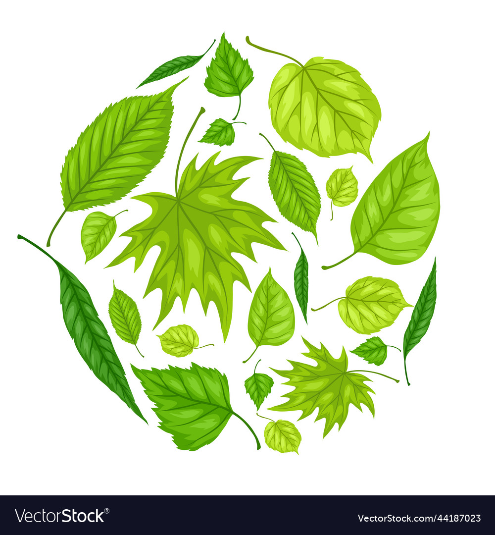 Spring Leaf Background - Botanical