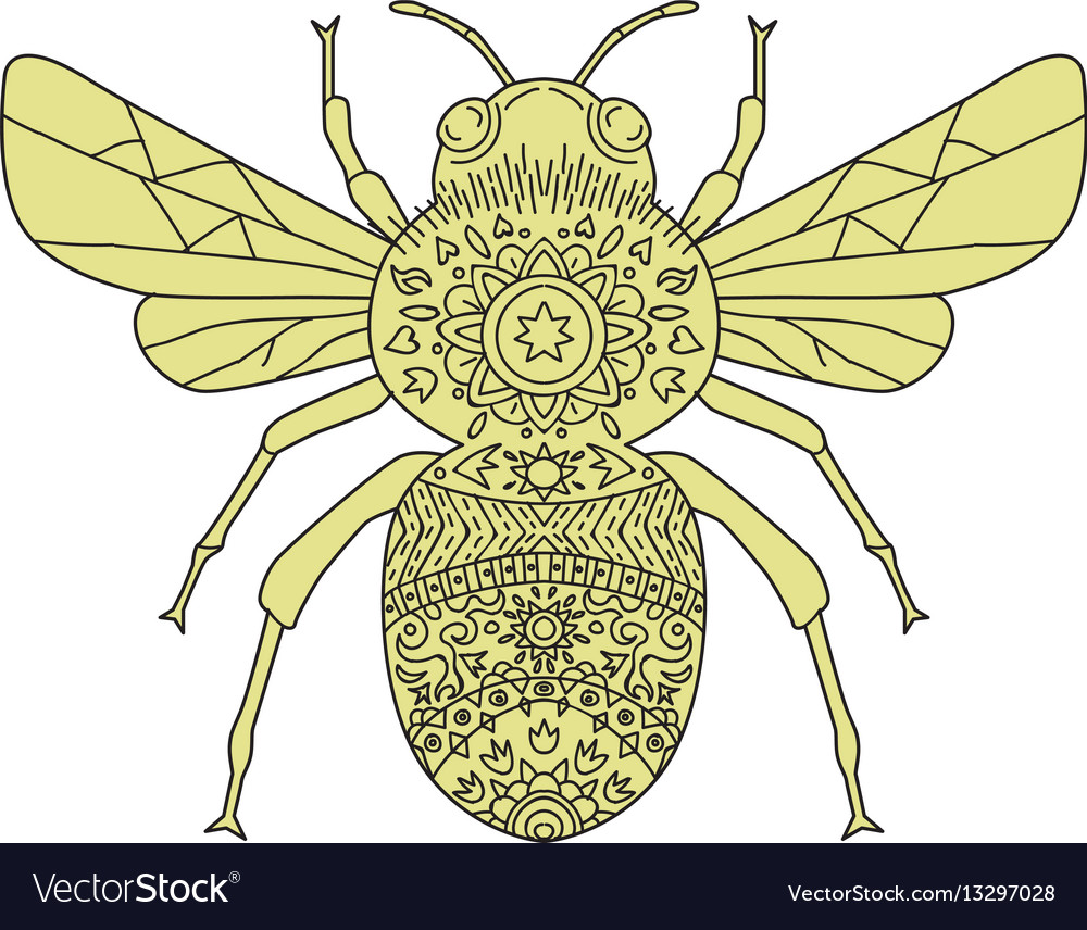 Bumble bee mandala Royalty Free Vector Image - VectorStock