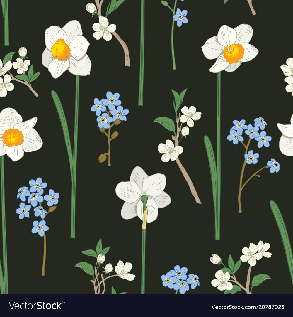 Floral seamless pattern daffodils me not Vector Image
