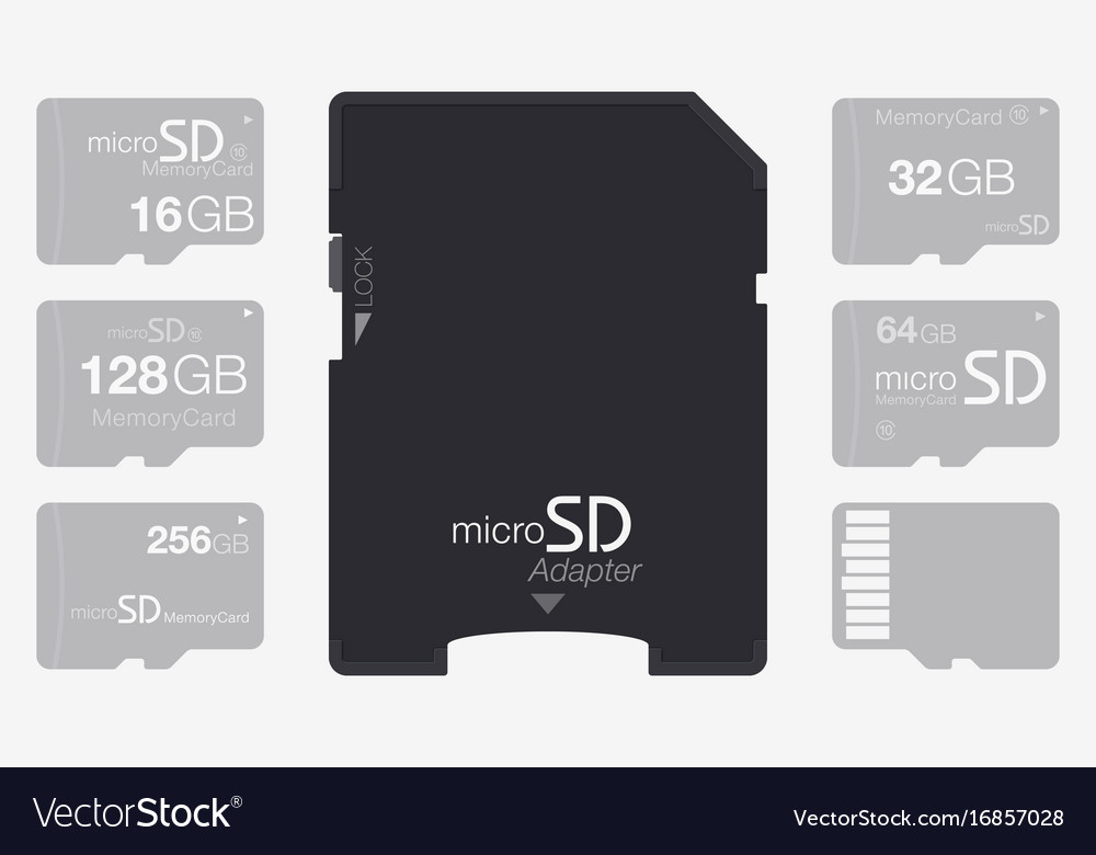 Top view micro sd to memory card adapter