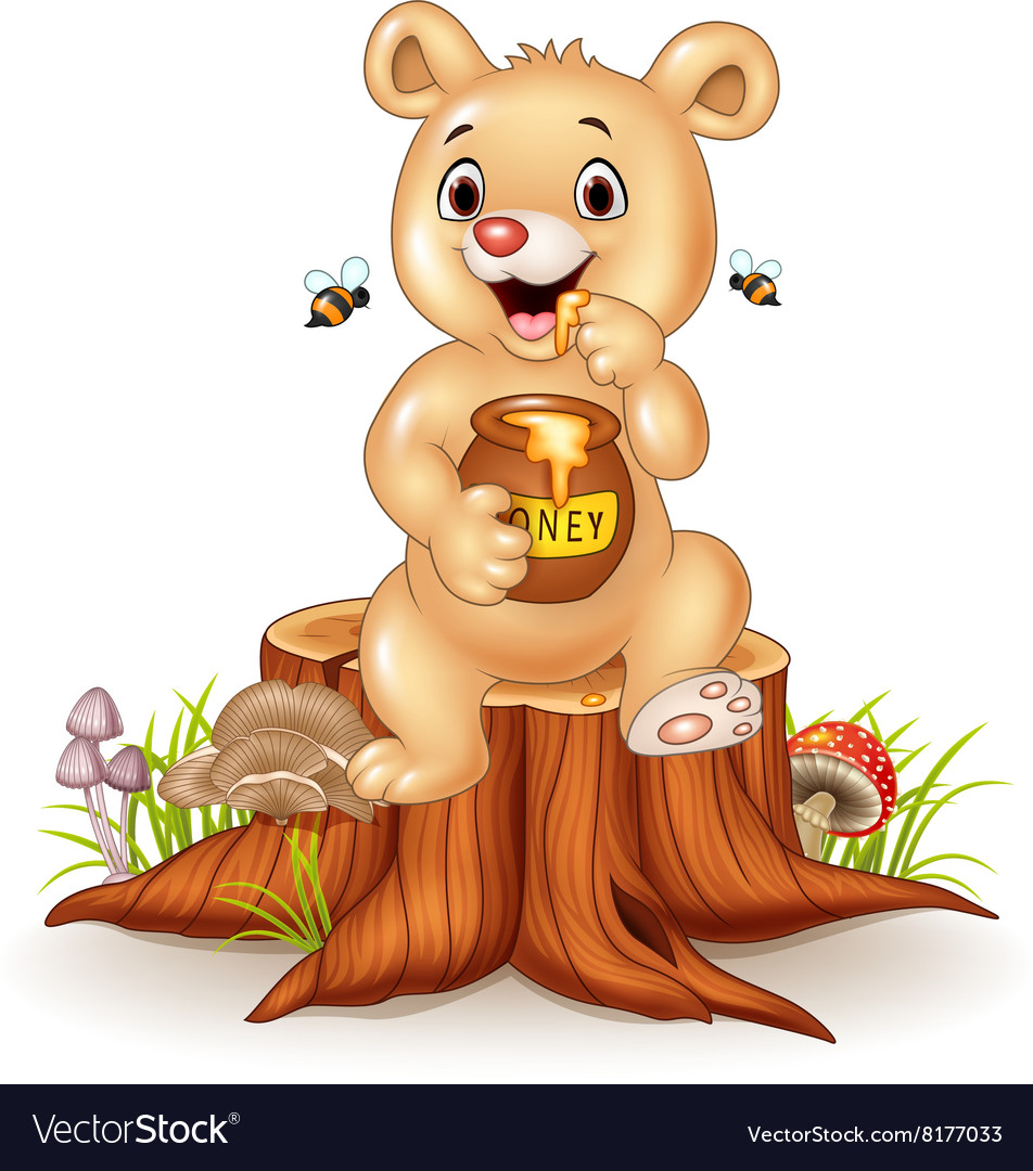 teddy bear with honey