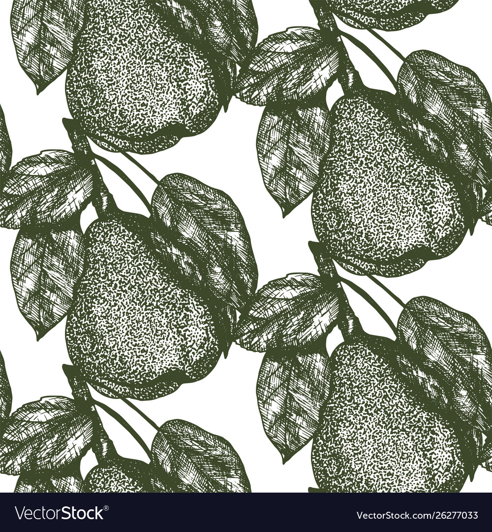 Macro pear fruit seamless pattern