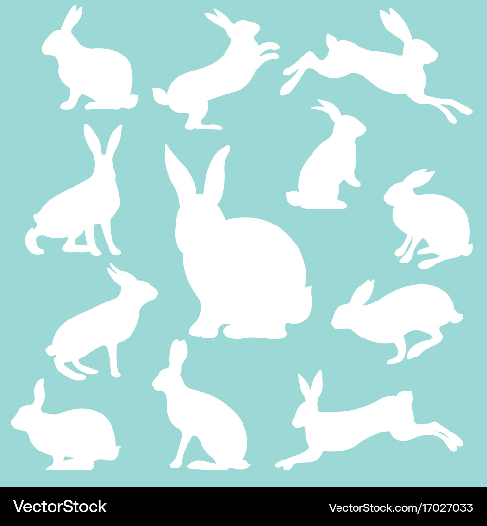Rabbit set Royalty Free Vector Image - VectorStock