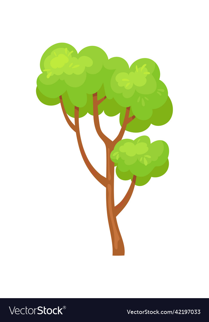 Young tree cartoon nature oak with branch Vector Image