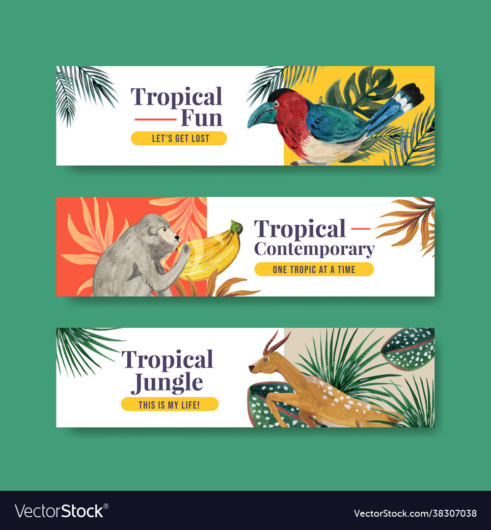 Banner template with tropical contemporary