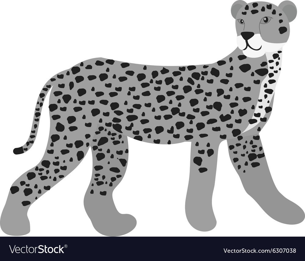 Cheetah