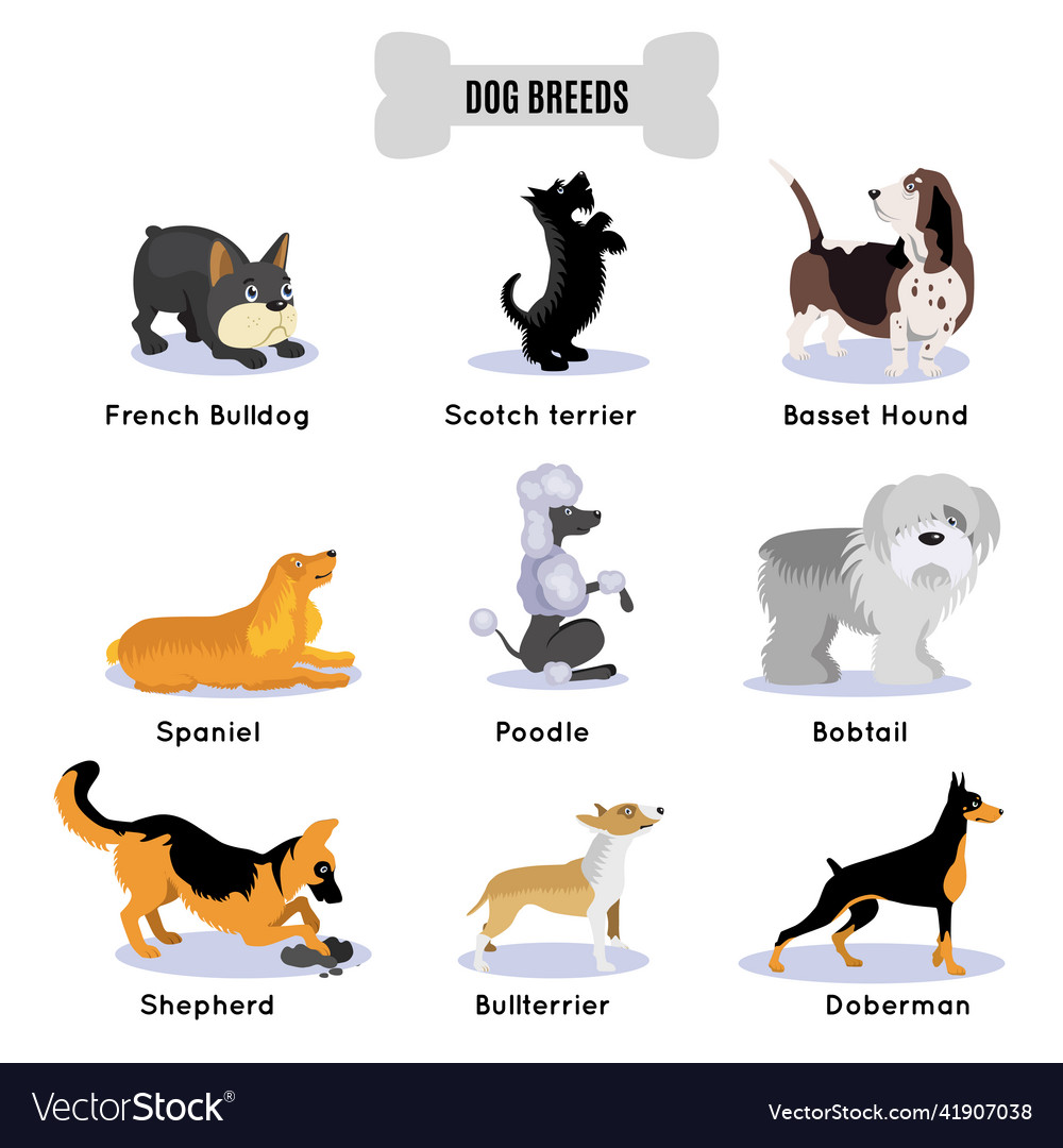 Dogs Breed Colored Icon Set Royalty Free Vector Image