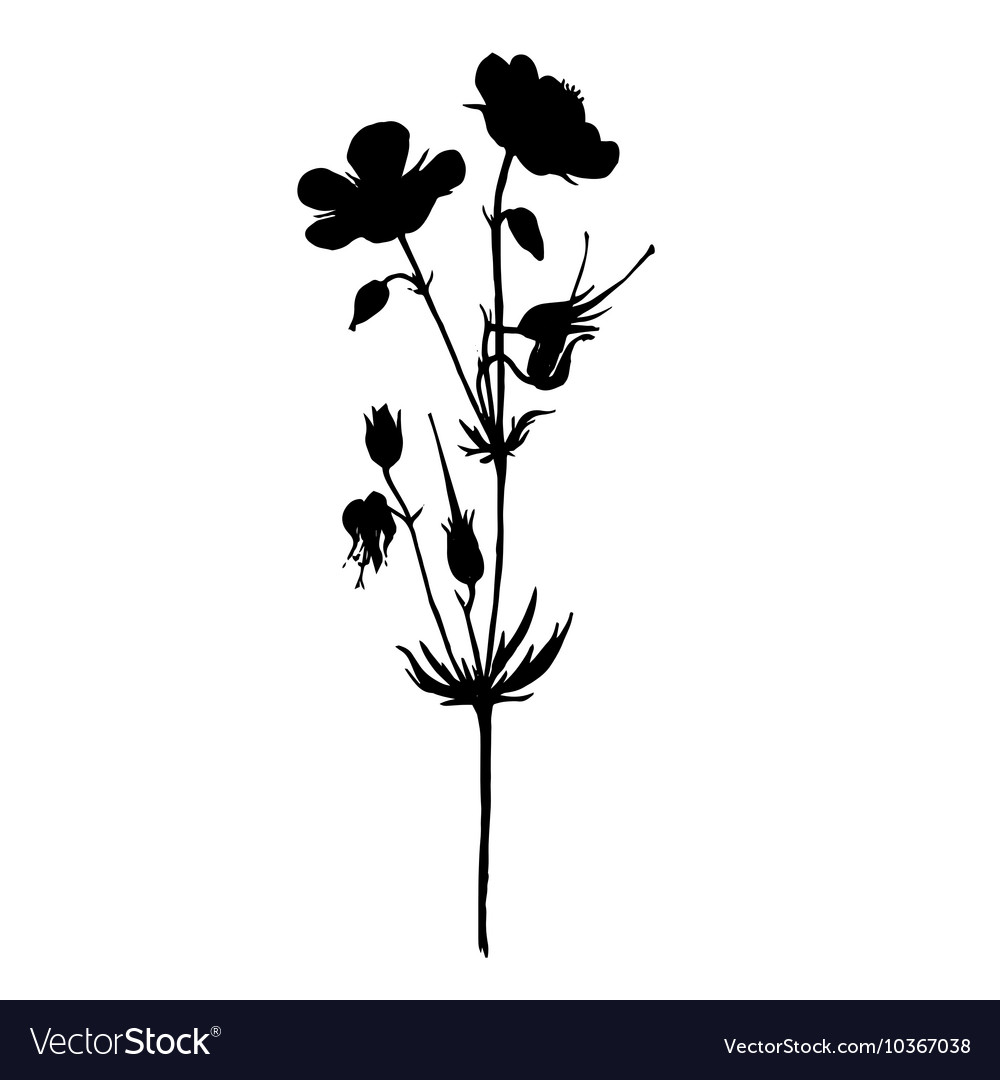 Silhouette of drawing flowers