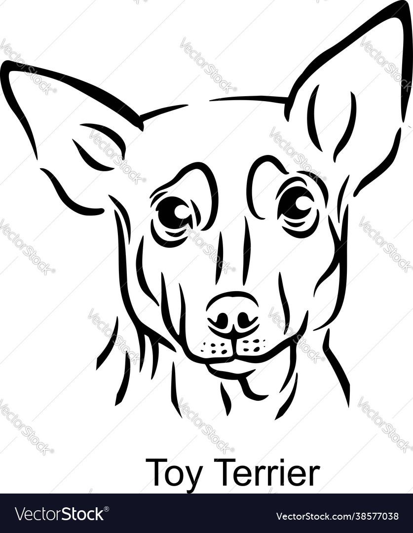 Toy terrier portrait dog in line style - pet
