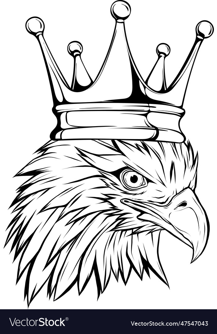 Eagle head in outline style Royalty Free Vector Image