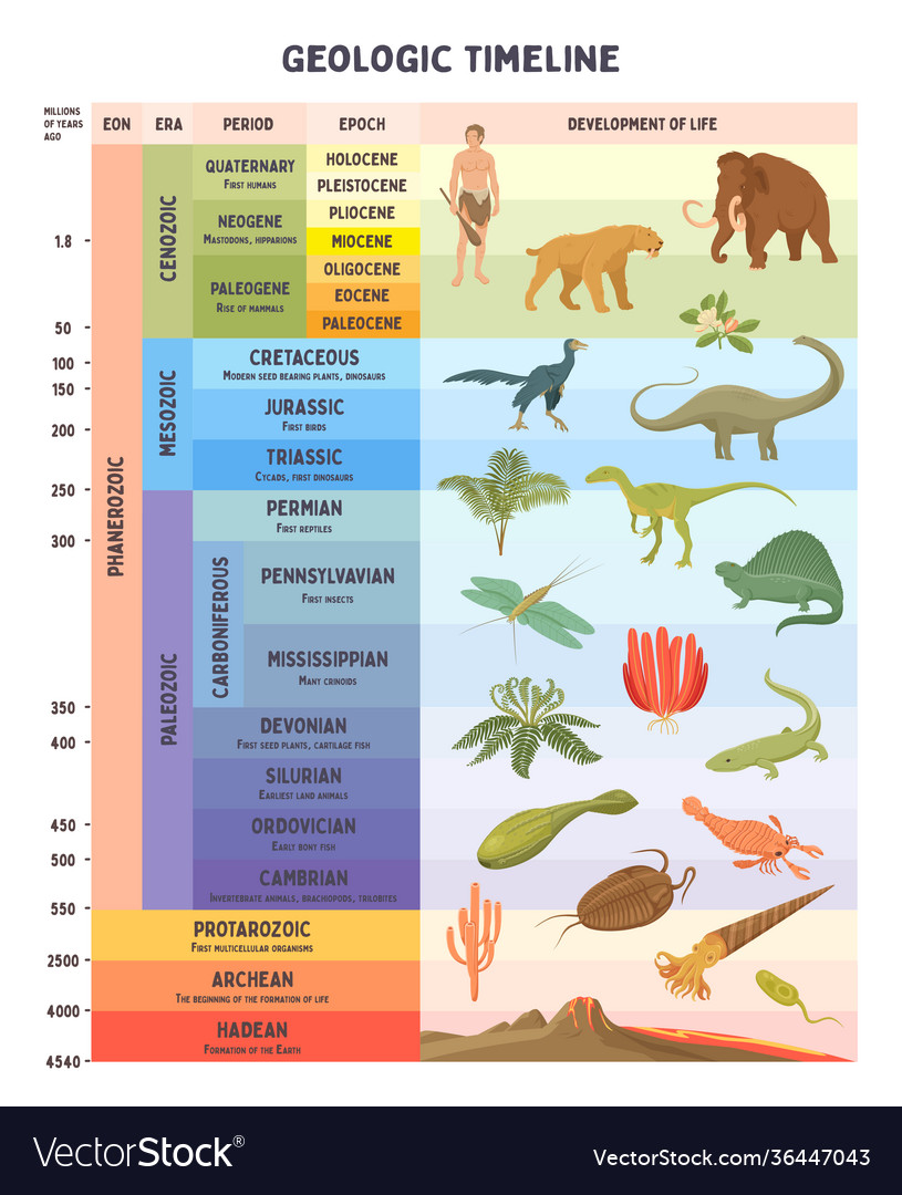 How To Make A Geological Timeline