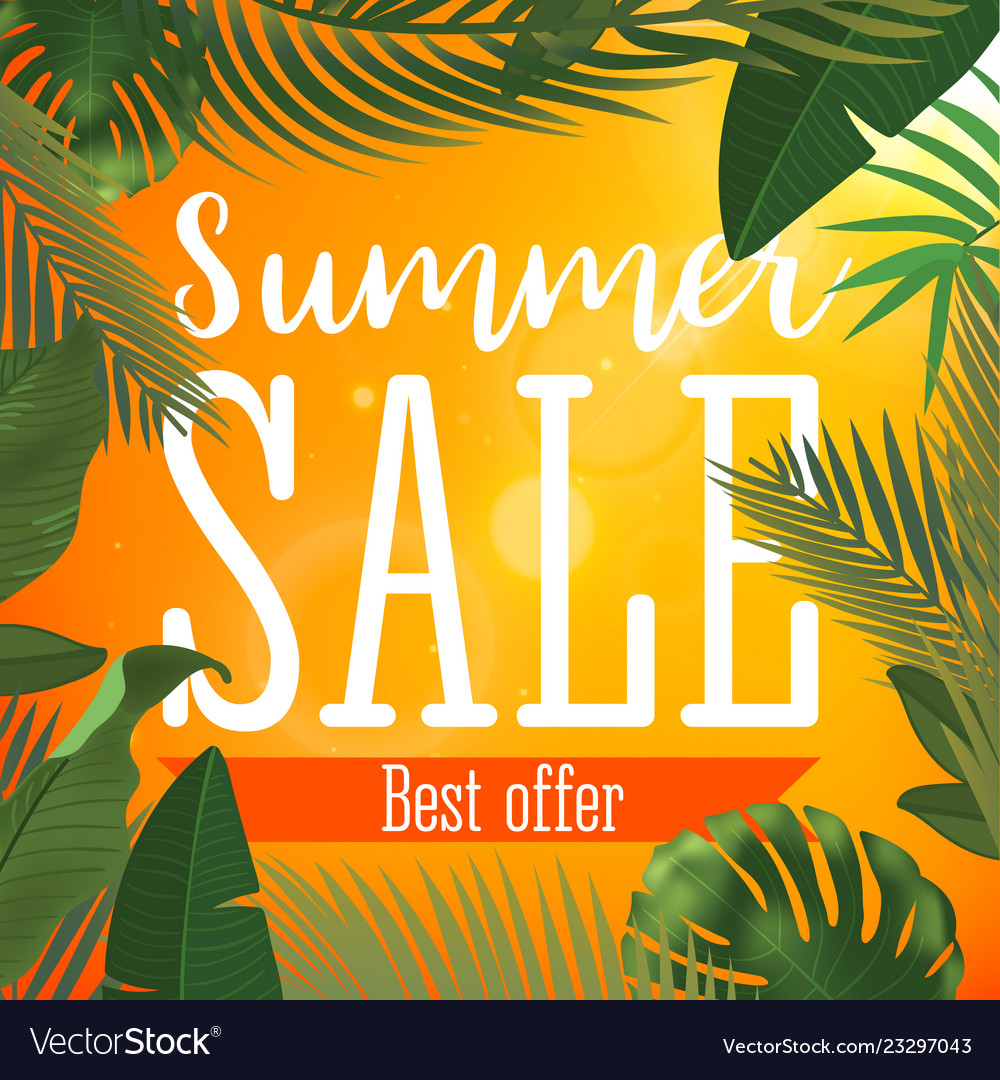 Summer sale banner