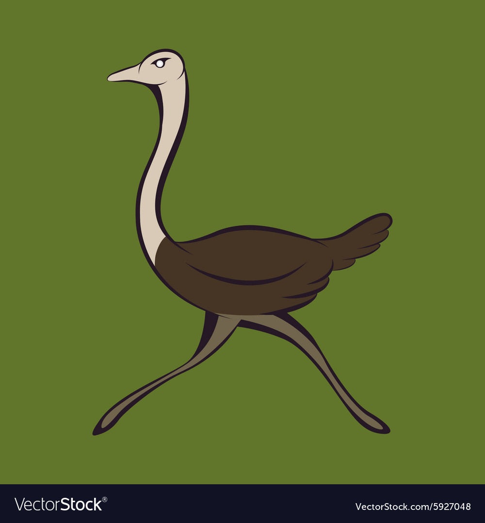 Ostrich