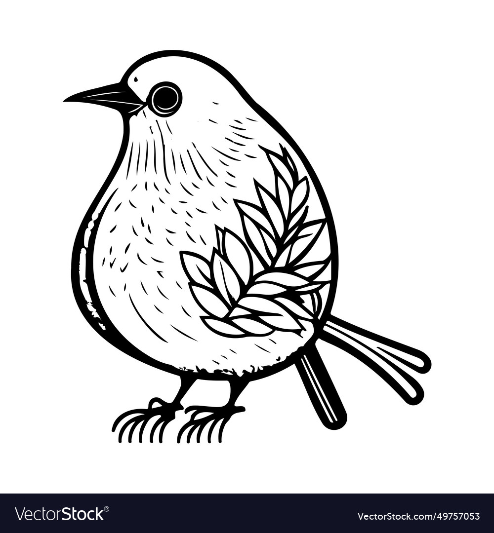 Doodle birds sketch hand draw Royalty Free Vector Image