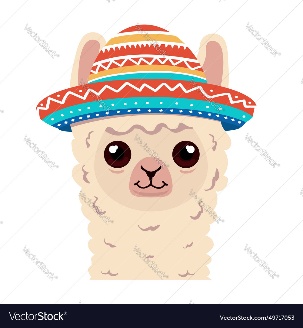 Lama alpaca Kopf mit Hut