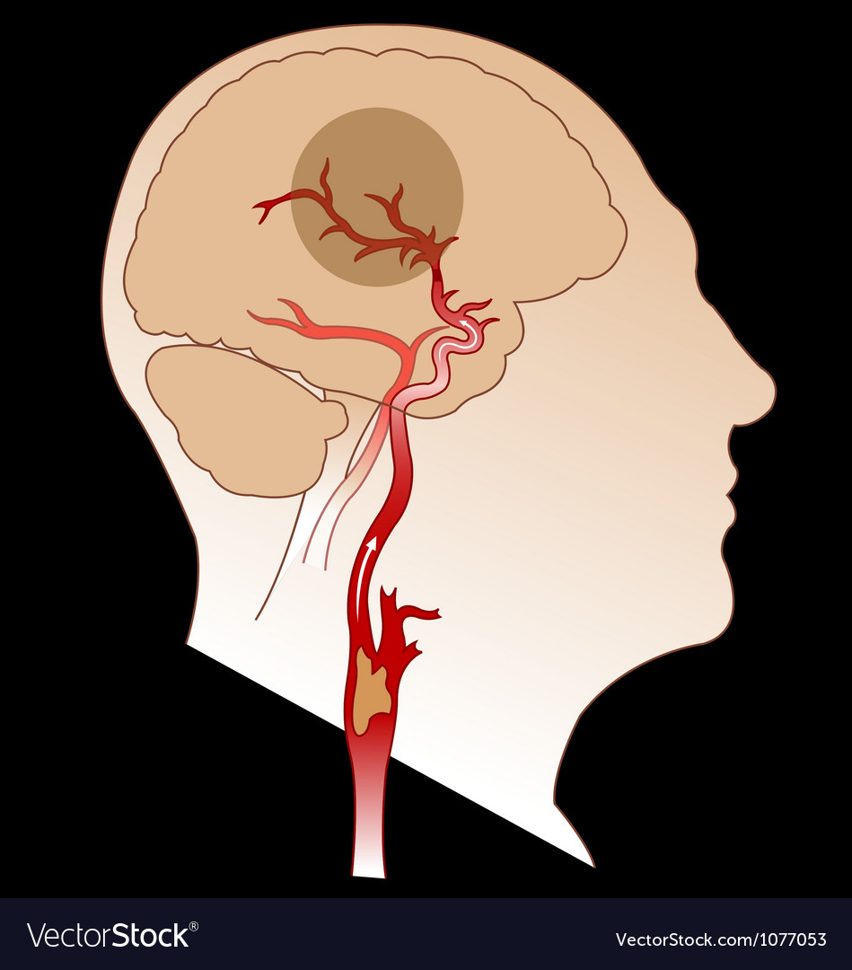 Stroke art Royalty Free Vector Image VectorStock
