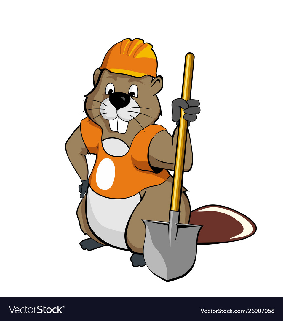 Beaver wearing a helmet and holding spade