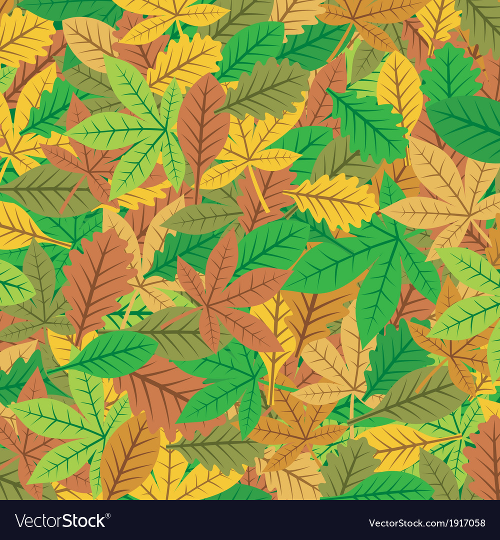 Leaves background Royalty Free Vector Image - VectorStock