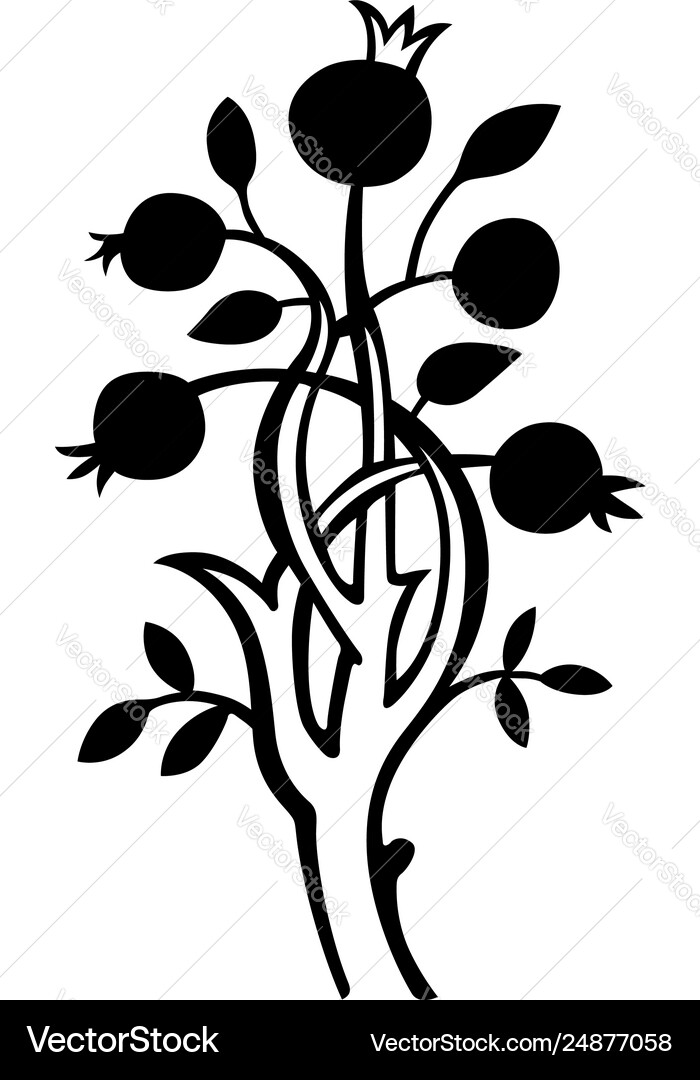 Magic tree Royalty Free Vector Image - VectorStock