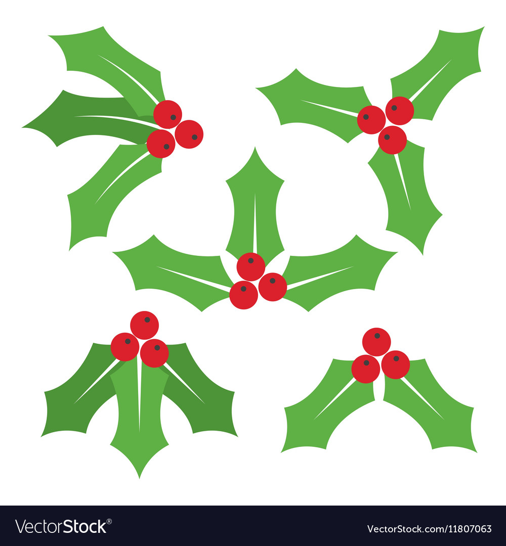 Christmas symbol holly berry icon