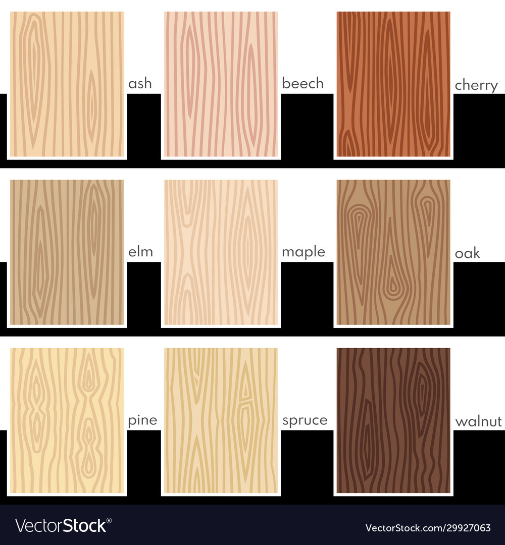 Seamless stylized veneers different types Vector Image