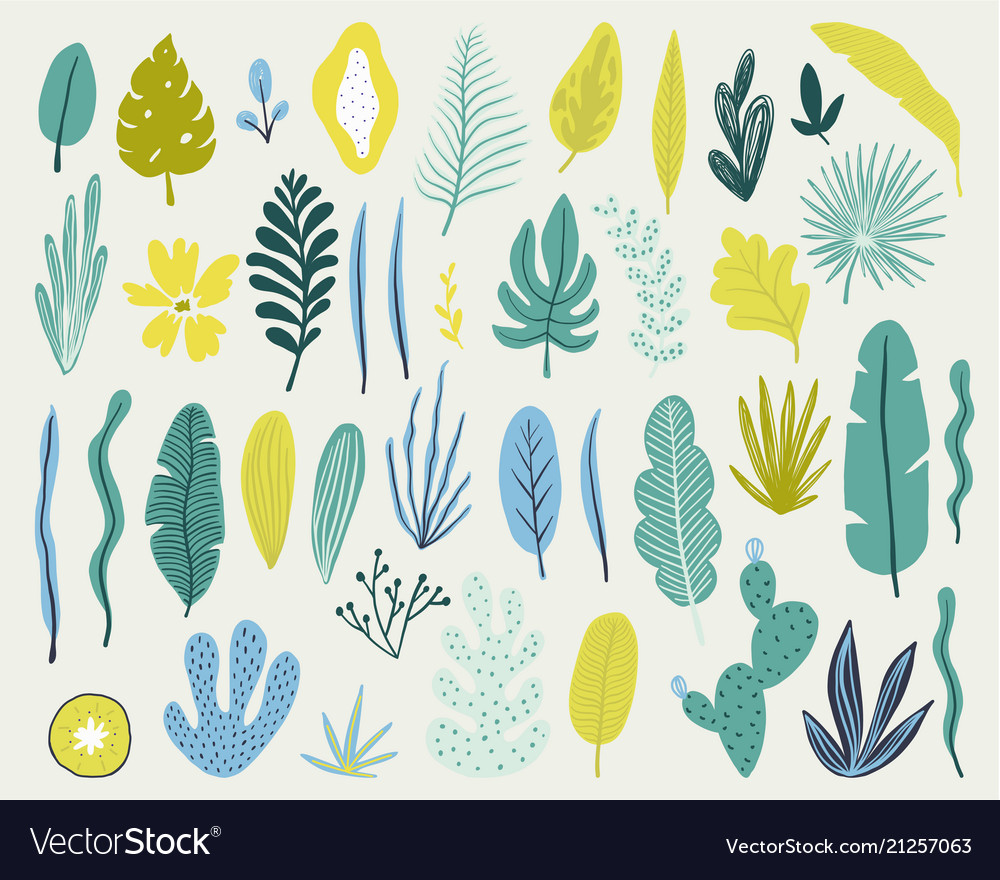 Tropical Leaf Pattern