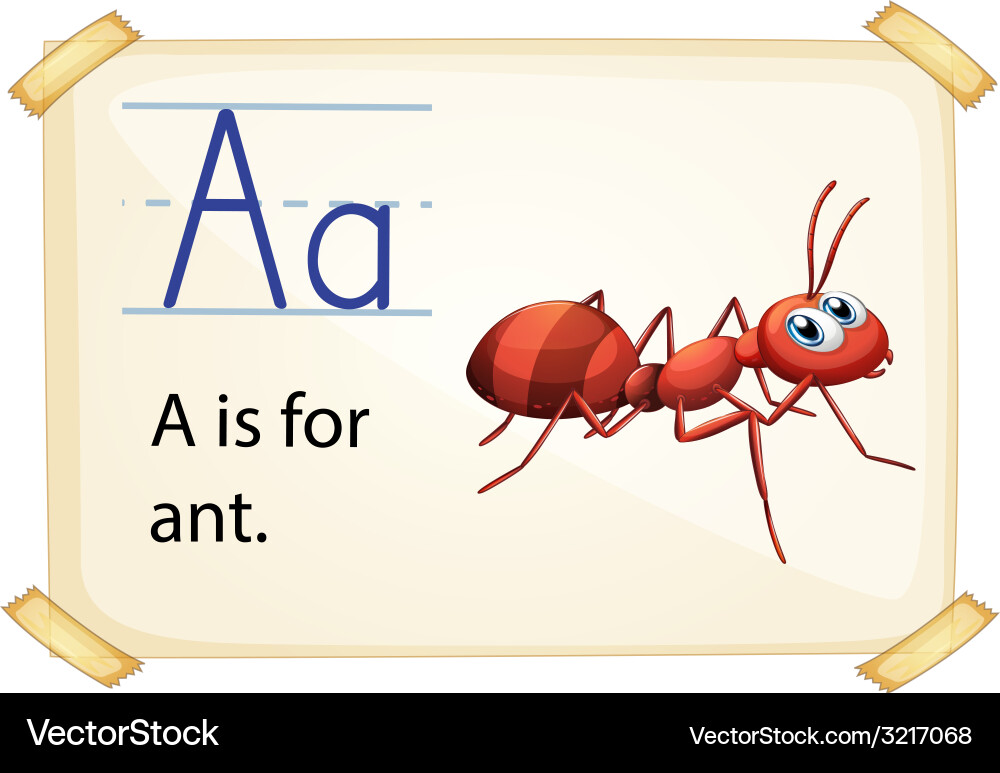 Alphabet Royalty Free Vector Image - VectorStock