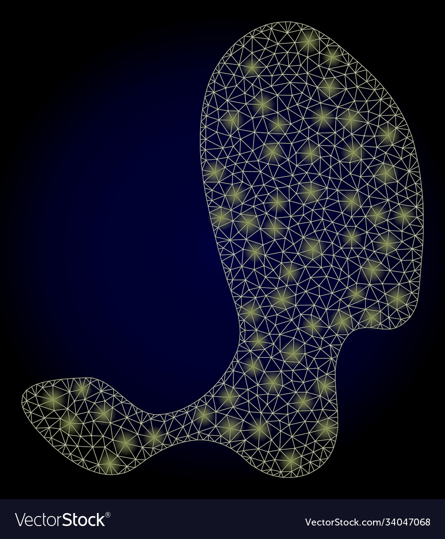 Bright web net spot with light spots vector image Bright web net spot with light spots