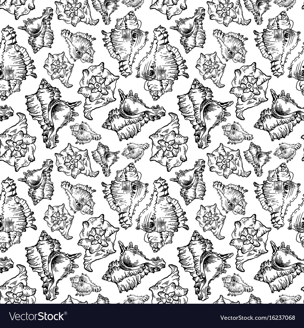 Seamless sketch seashell template background