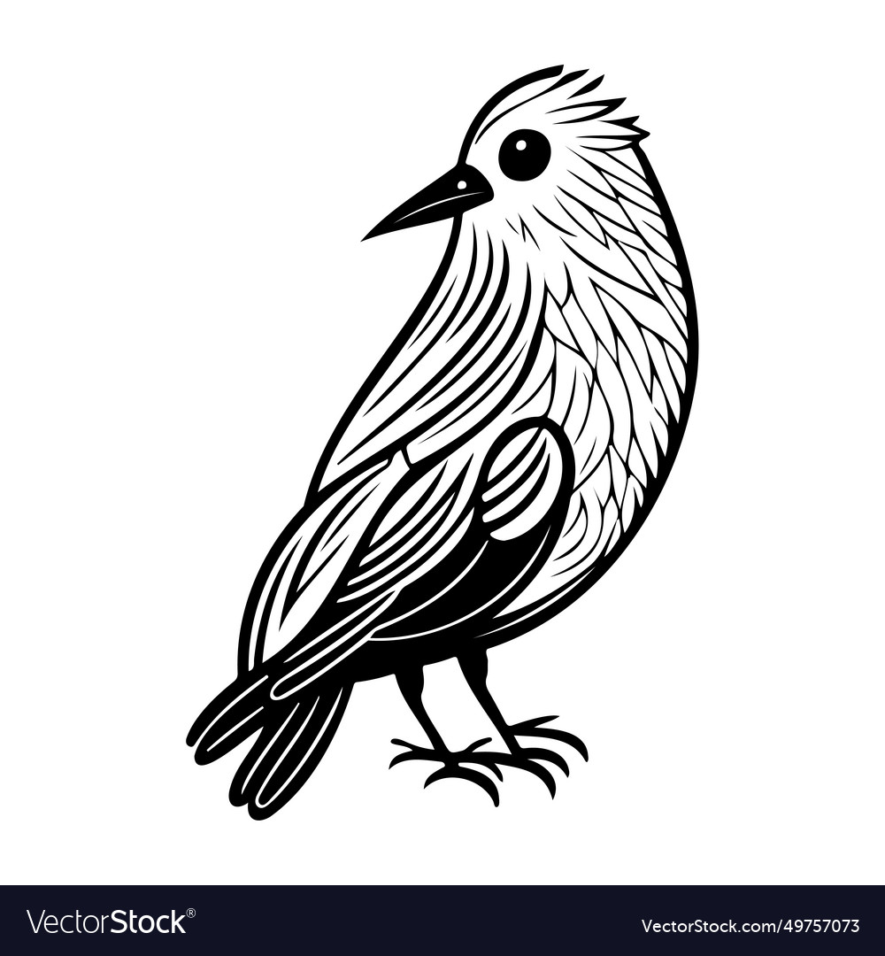 Doodle birds sketch hand draw Royalty Free Vector Image