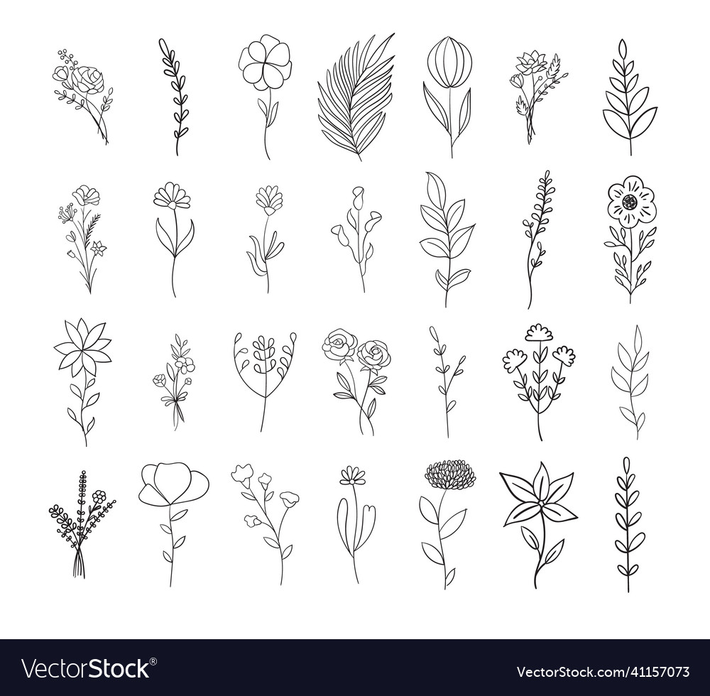 Flowers botanical and leaves outline collection Vector Image