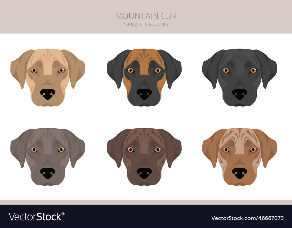 Mountain cur clipart different poses coat colors Vector Image