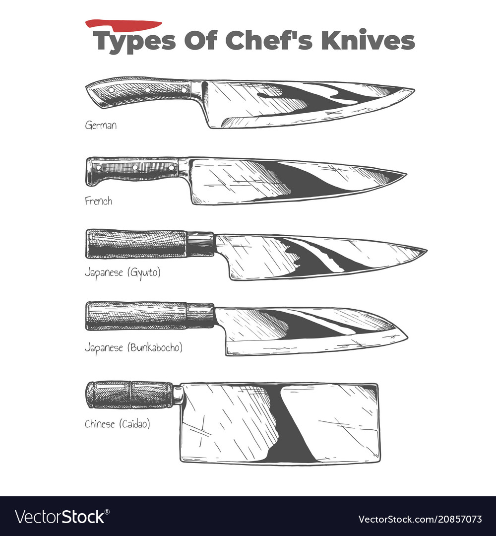 Knife types, French (chef`s), vector outline illustration with inscription  Stock Vector