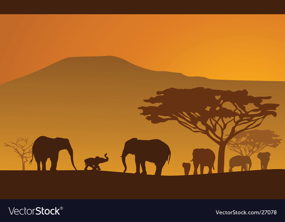 Elephant Silhouette Safari