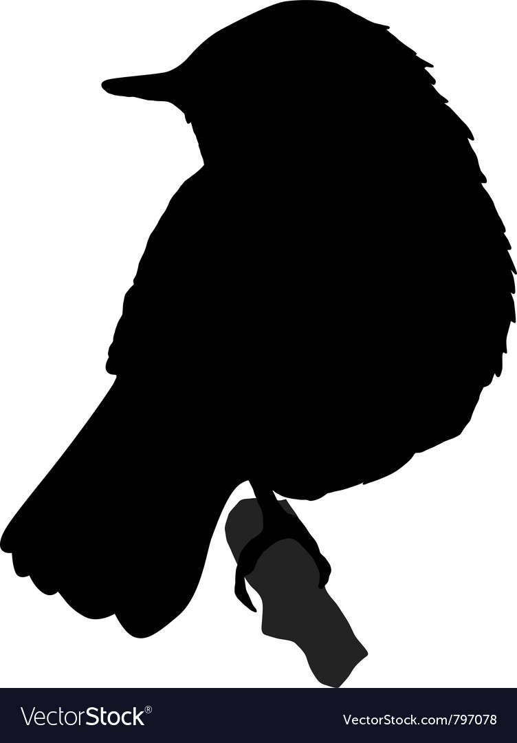 Nightingale Silhouette