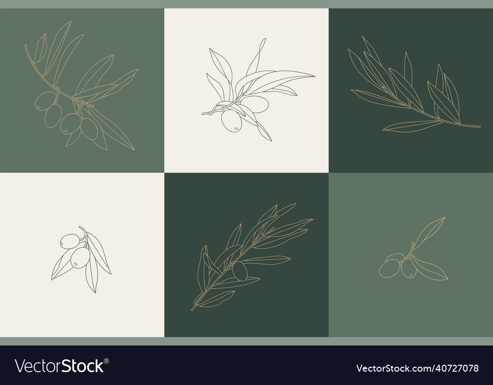 Olive branch - simple linear vector image Olive branch - simple linear