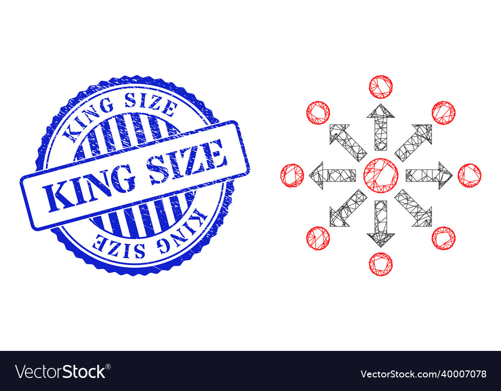 Rubber king size badge and net expansion web mesh vector image Rubber king size badge and net expansion web mesh