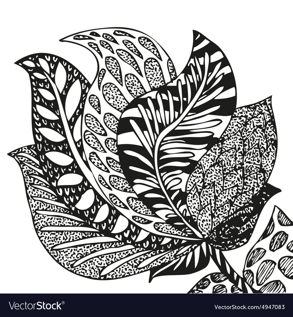 Doodling hand drawn amazing feathers with patterns