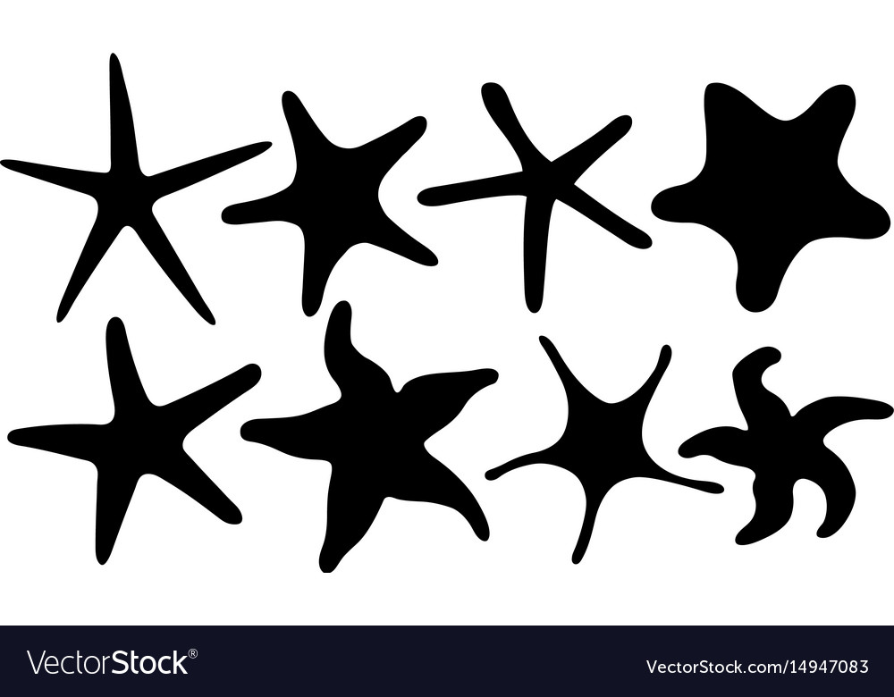 Set of different starfish Royalty Free Vector Image