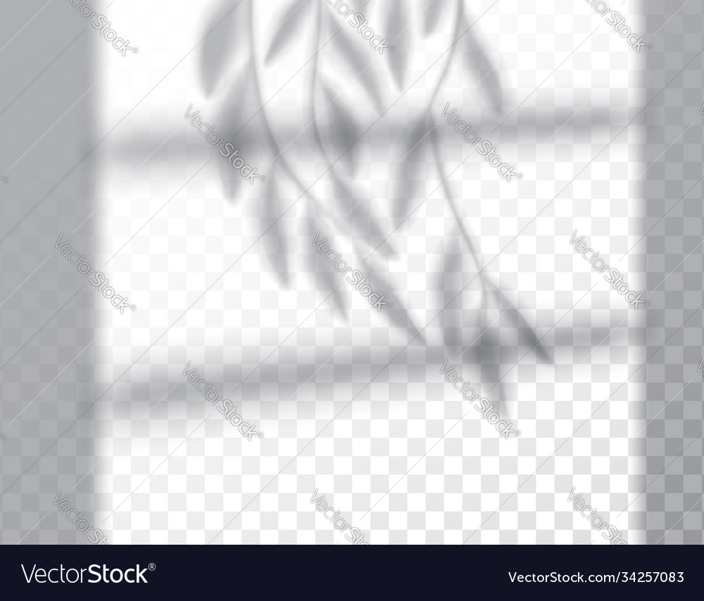 Shadow overlay effects mock up window frame