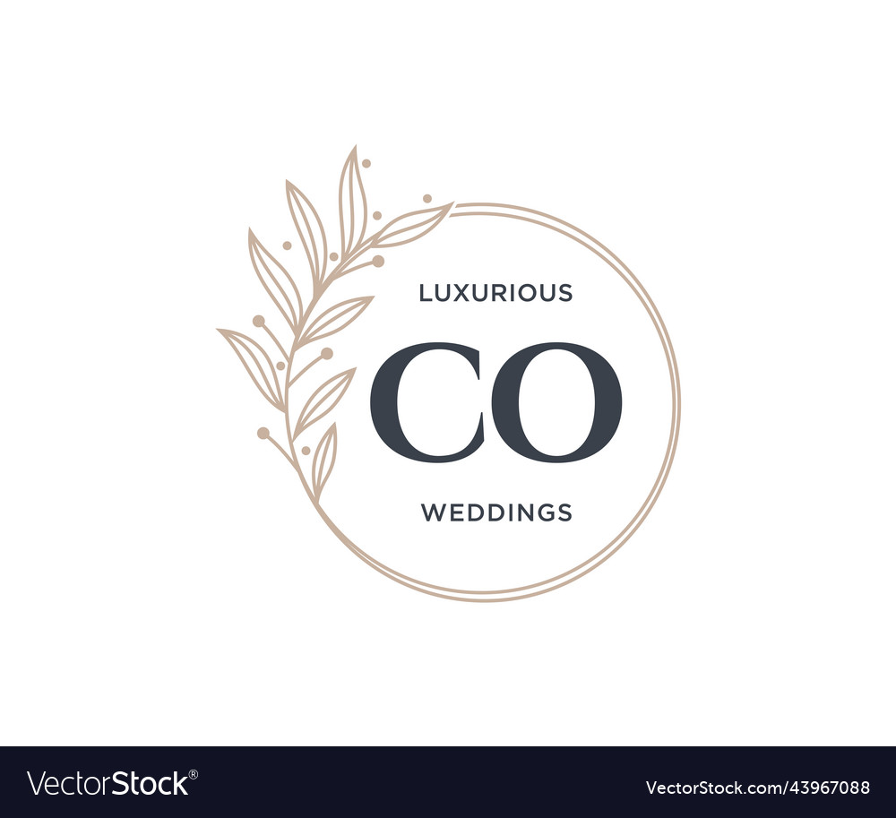 Co initials letter wedding monogram logos Vector Image